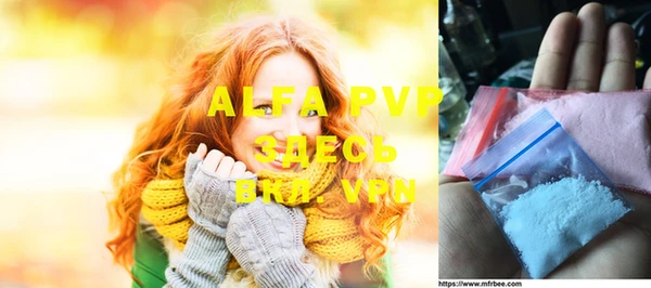 индика Жердевка