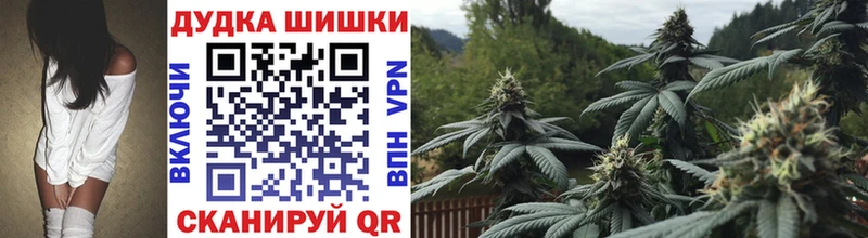 Купить где  Заволжск  Бошки марихуана OG Kush 